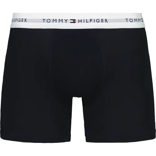 Мужские боксеры Hilfiger, 3 пары