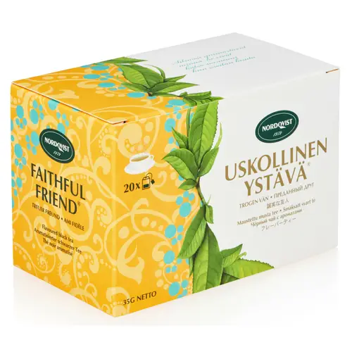 vernyi-drug-chainye-paketiki-20-sht