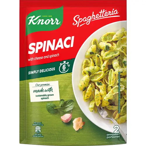 shpinatnaia-pasta-knorr-160-g-spinach-spaghetti