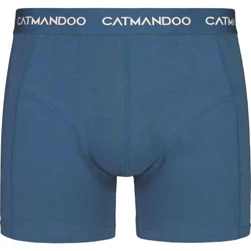Мужские боксеры Catmandoo Davis 2 шт./коробка