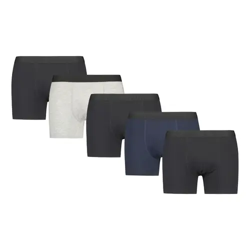 muzhskie-boksery-force-new-attitude-dolan-5-sht-korobka