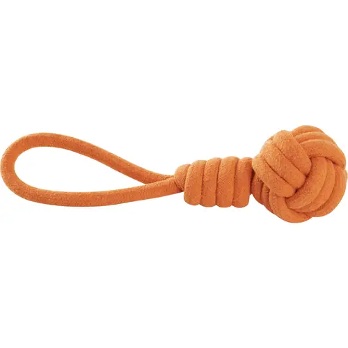 miach-dlia-sobak-nastoiashchaia-sobachia-nanizka