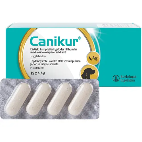 kanikur-12-sht-dlia-sobak-ot-diarei