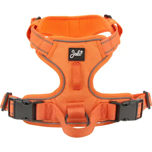 sobachia-shleika-jalo-timmi-oranzhevogo-tsveta