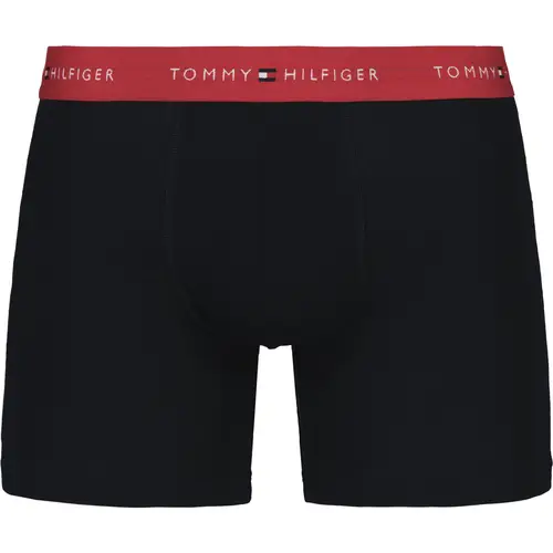Мужские боксеры Hilfiger, 3 пары