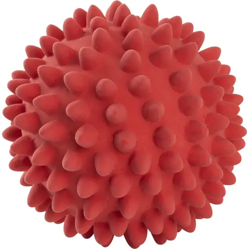 miach-dlia-sobachego-ezhika-real-dog-l-krasnyi