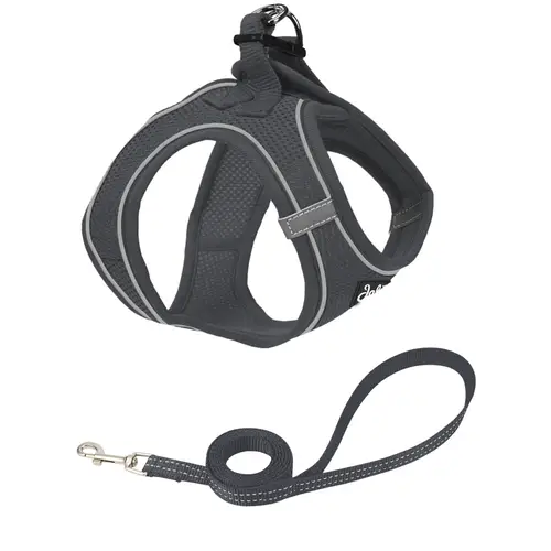 koshachia-shleika-jalo-kolli-seraia