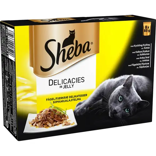 korm-dlia-koshek-delicacies-8-x-85-g-s-ptitsei