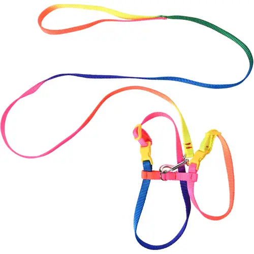 koshachia-shleika-povodok-real-cat-rainbow