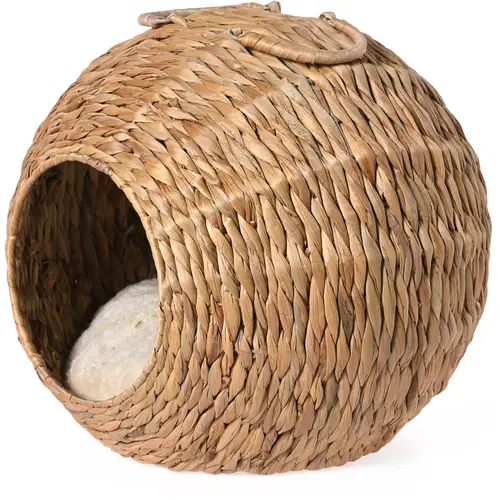 koshkin-dom-blagorodnyi-vodianoi-giatsint