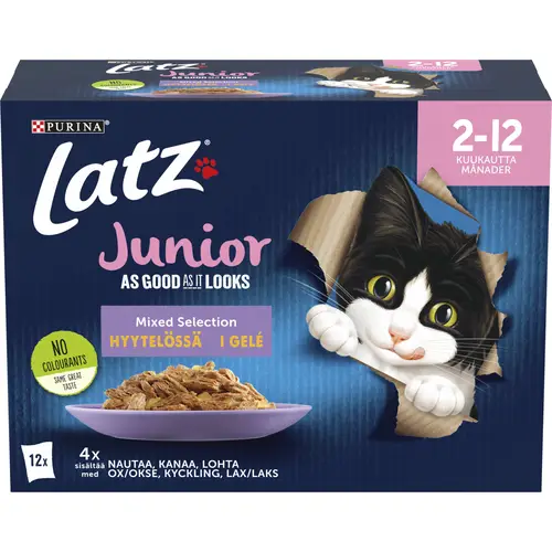 korm-dlia-koshek-latz-12-x-85-g-agail-junior-mixed-in-jelly