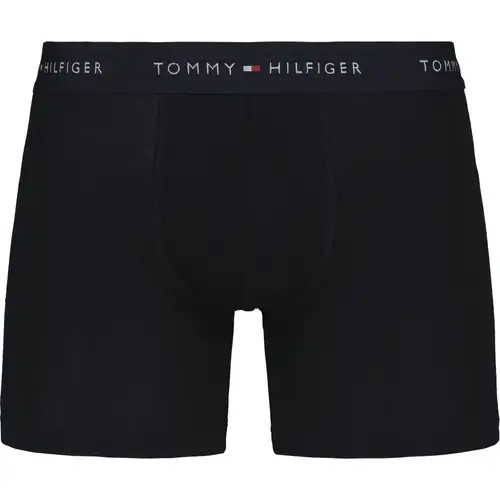 Мужские боксеры Hilfiger, 3 пары