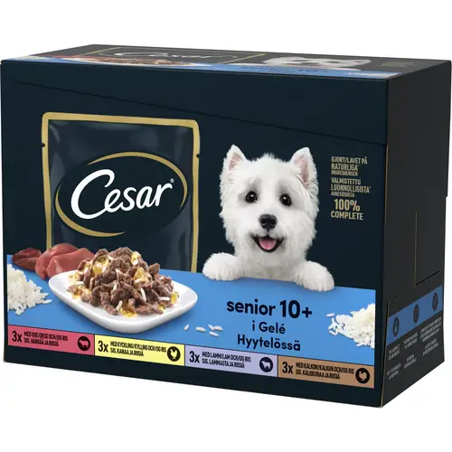 korm-dlia-sobak-cesar-12-x-100-g-senior-nabor-dlia-servirovki-v-zhele