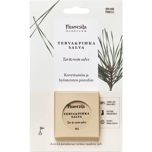 degtiarno-smolianaia-maz-frantsila-19-g