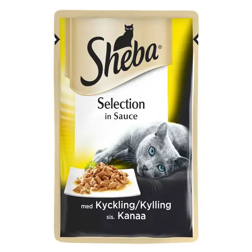 korm-dlia-koshek-85-g-kuritsa-otbornaia-v-souse