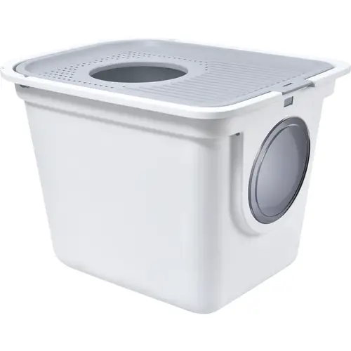 koshachii-tualet-real-cat-seryi