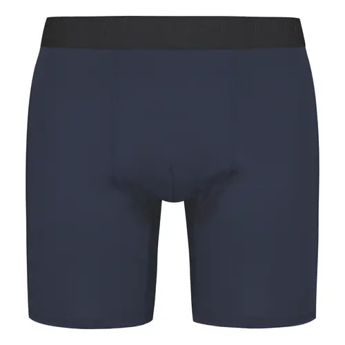 muzhskie-sportivnye-boksery-future-tt-sport-danny-1