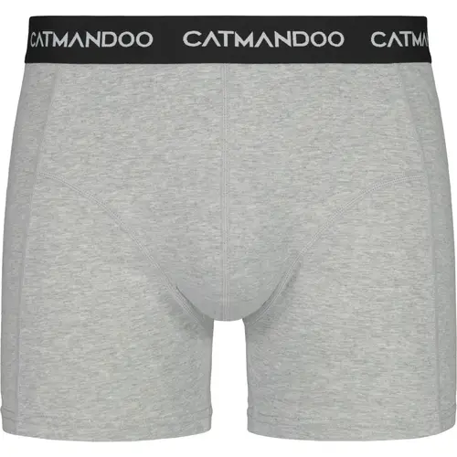 Мужские боксеры Catmandoo Davis 2 шт./коробка