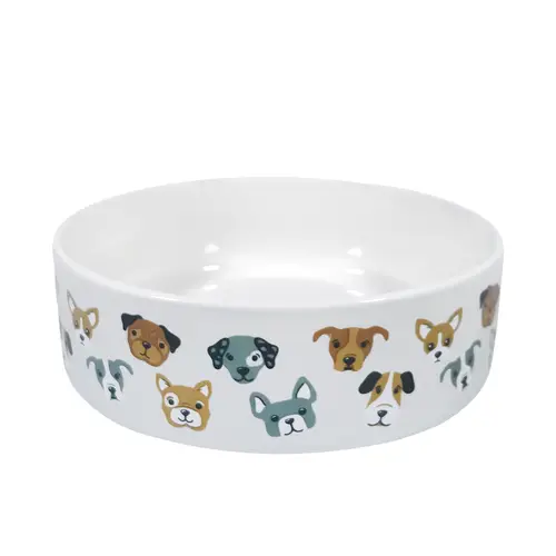 keramicheskaia-miska-real-dog-350-ml-cartoon-s