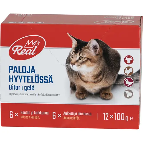 korm-dlia-koshek-real-cat-12-x-100-g-miasnoi