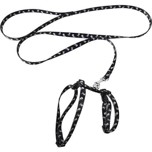 koshachia-shleika-povodok-nastoiashchii-koshachii-cherep