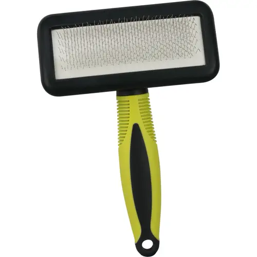 Карточка для питомца