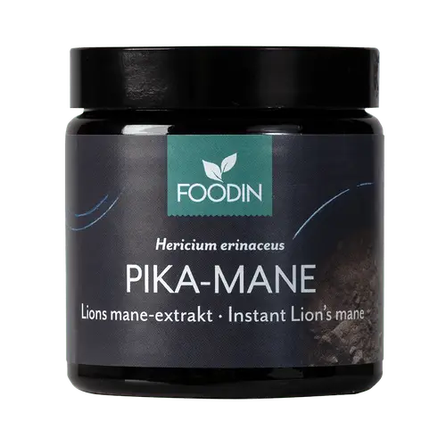 Foodin Pika-Mane 40 g