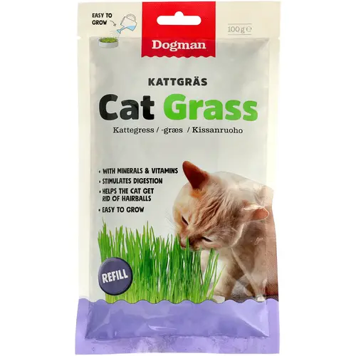 Кошачья мята Dogman 100 г для домашнего разведения