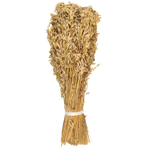 Ферма для уличных птиц Кауралихде Хейккиля