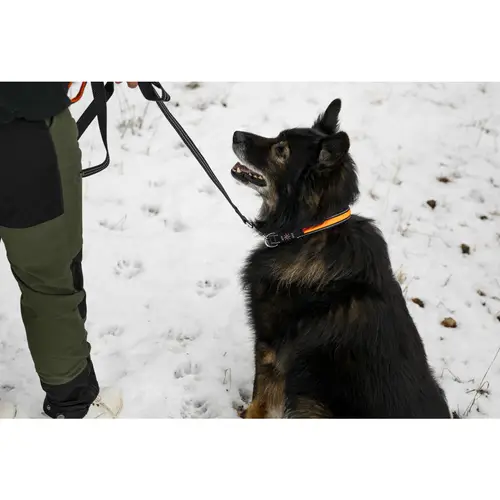 Светодиодный ошейник Real Dog оранжевый