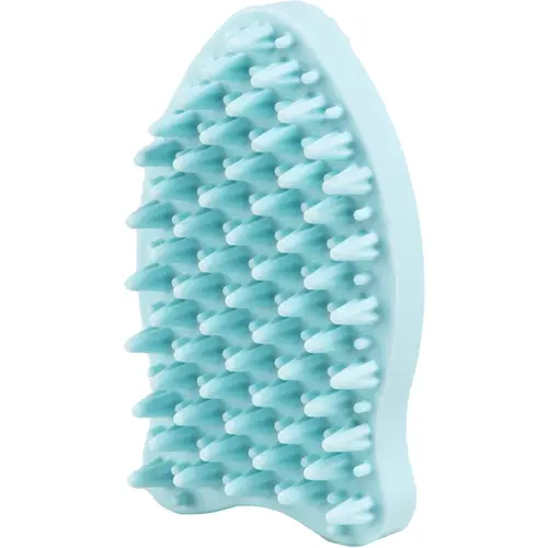 Зарыбление настоящими сомами